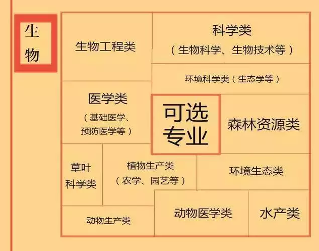 根據(jù)特長選專業(yè)，高中各門課程對(duì)應(yīng)大學(xué)專業(yè)實(shí)用盤點(diǎn)，志愿填報(bào)的你不可錯(cuò)過！