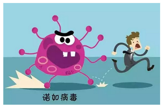 全國多地出現(xiàn)學(xué)校停課！這種病毒進(jìn)入高發(fā)期，尚無疫苗和特效藥……家長千萬注意
