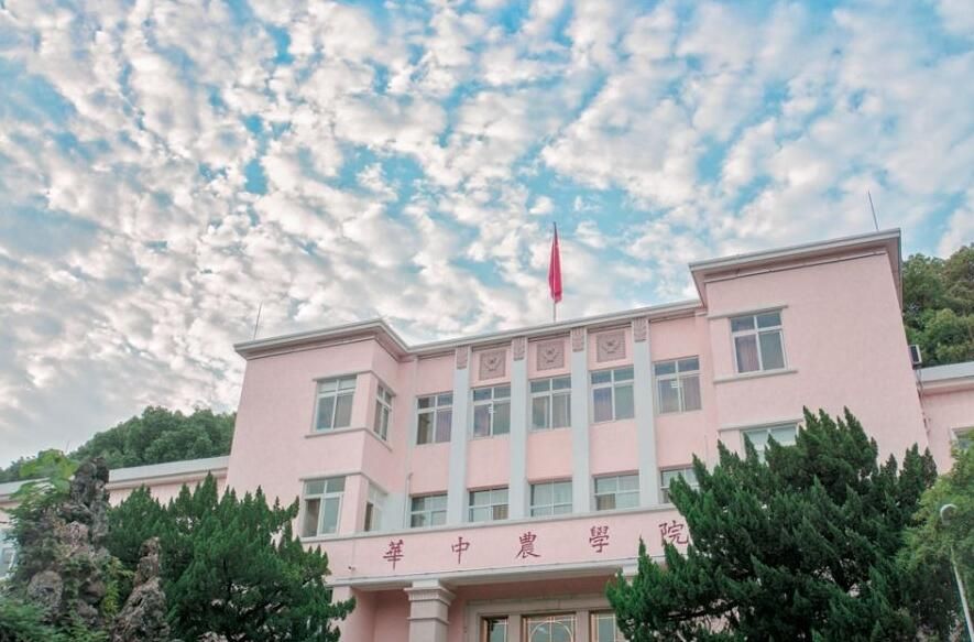 華中農(nóng)業(yè)大學(xué)2019年各省市錄取分數(shù)線