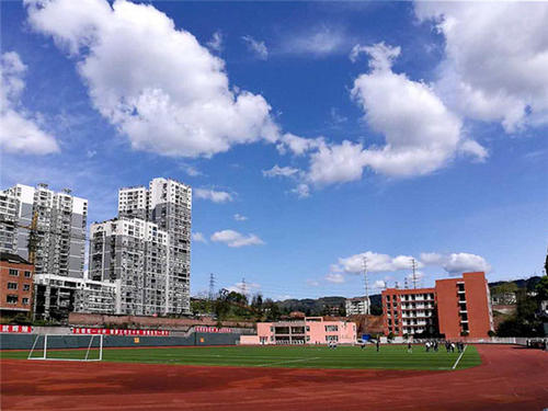 明年起四川省中小學?！肮裢小?，新政可能帶來哪些變化