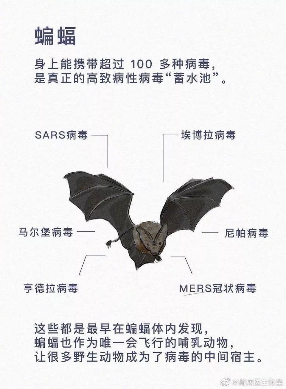 這10道與疫情有關(guān)的作業(yè)題，你的孩子會如何作答？