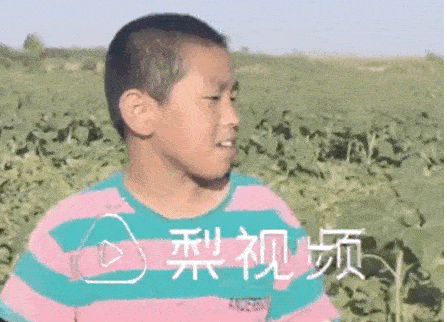 這位11歲男孩的暑假生活，被網(wǎng)友狂贊