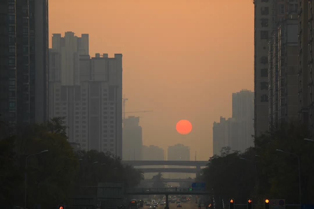 重磅！今后我省這些專業(yè)擬在一本招生