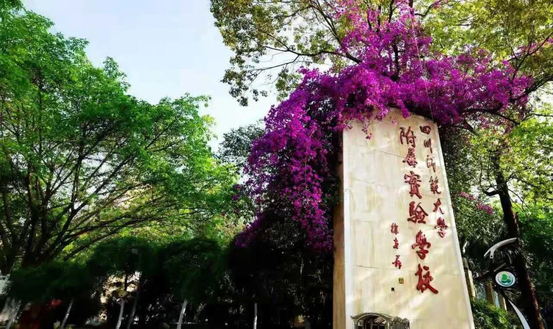 又一所官宣升級！成都一貫制學校有哪些了？